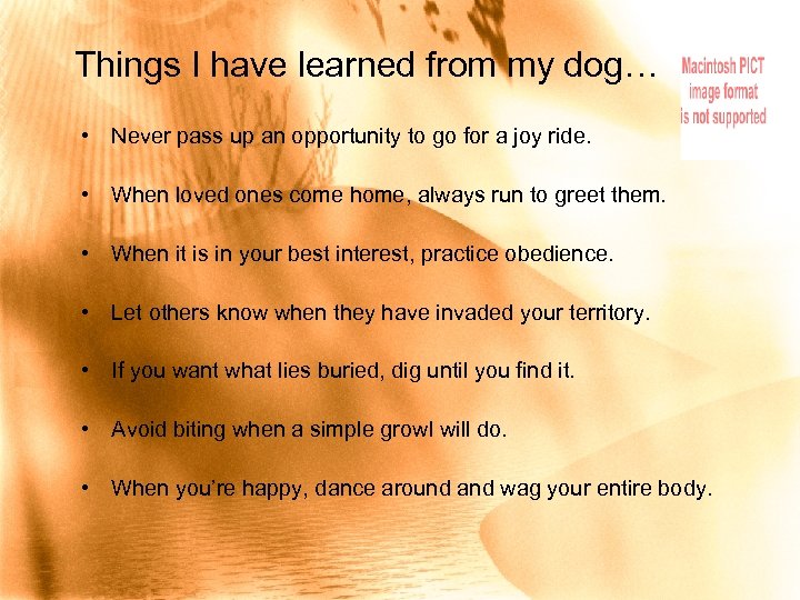 Things I have learned from my dog… • Never pass up an opportunity to