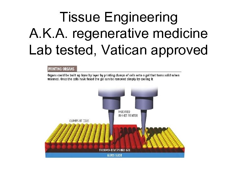 Tissue Engineering A. K. A. regenerative medicine Lab tested, Vatican approved 