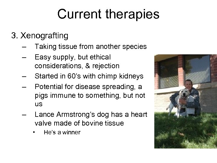 Current therapies 3. Xenografting – – – Taking tissue from another species Easy supply,