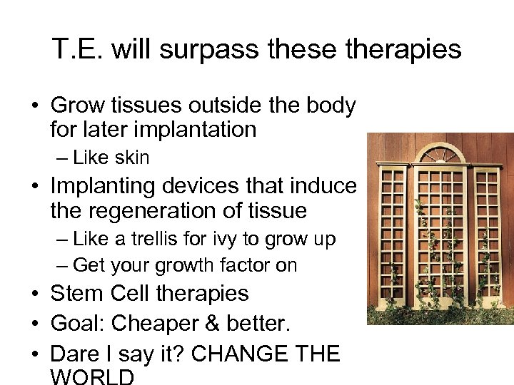 T. E. will surpass these therapies • Grow tissues outside the body for later