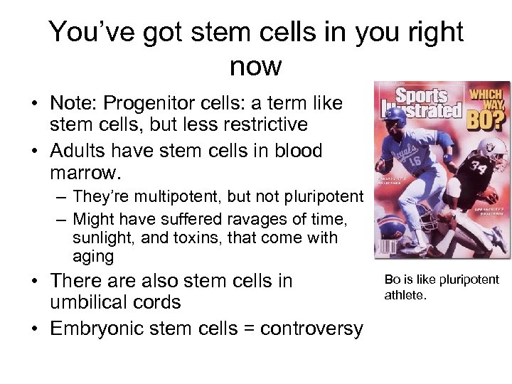 You’ve got stem cells in you right now • Note: Progenitor cells: a term