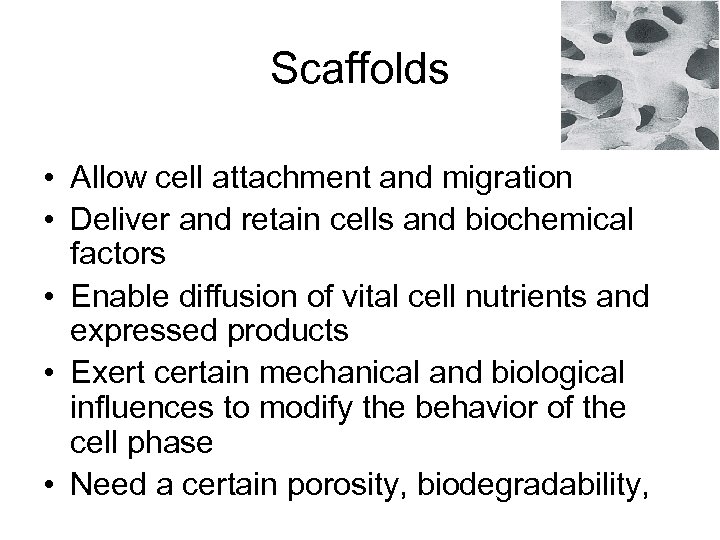 Scaffolds • Allow cell attachment and migration • Deliver and retain cells and biochemical