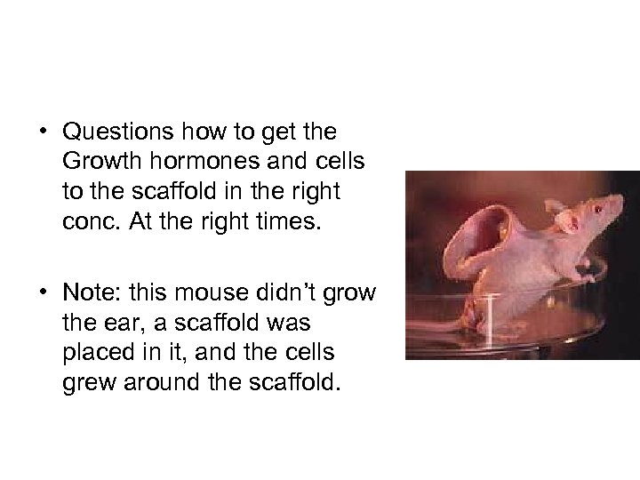  • Questions how to get the Growth hormones and cells to the scaffold