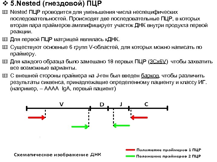 v 5. Nested (гнездовой) ПЦР Ш Nested ПЦР проводится для уменьшения числа неспецифических последовательностей.