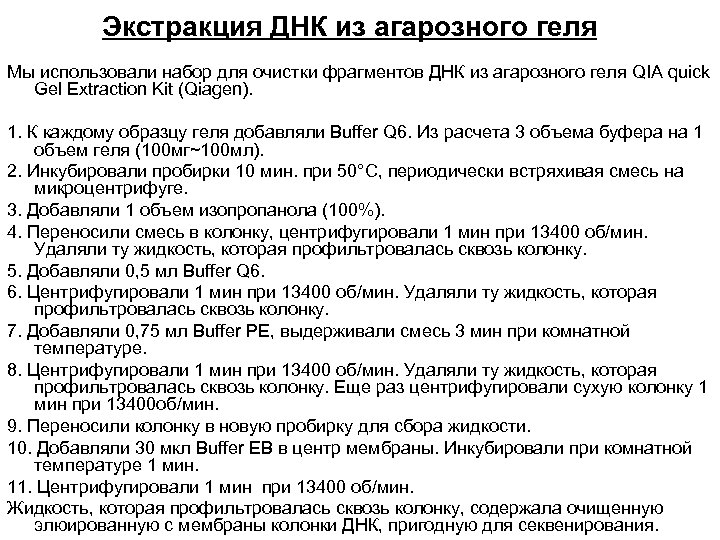 Экстракция ДНК из агарозного геля Мы использовали набор для очистки фрагментов ДНК из агарозного