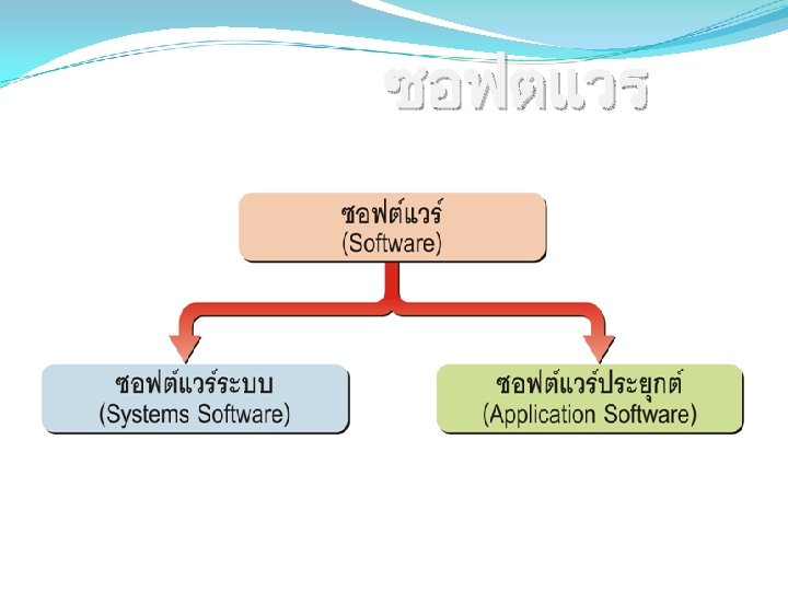 ซอฟตแวร 