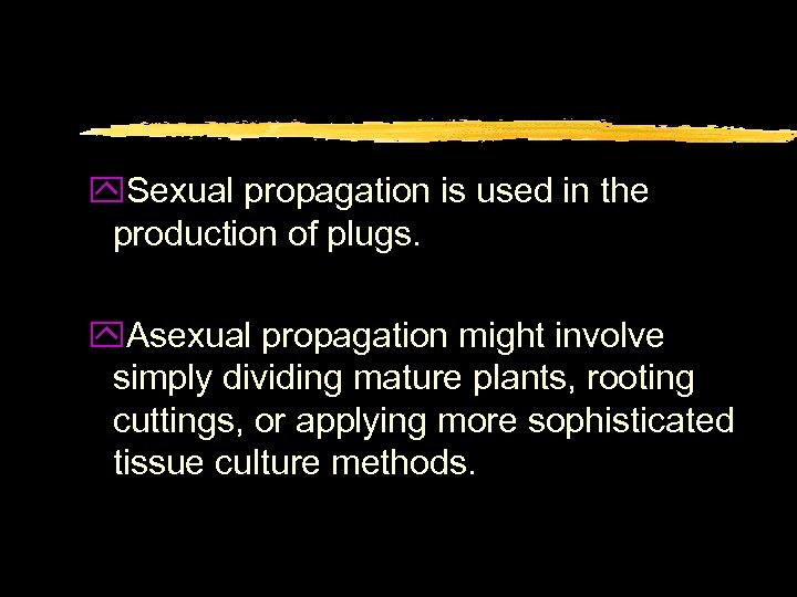 y. Sexual propagation is used in the production of plugs. y. Asexual propagation might