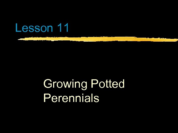 Lesson 11 Growing Potted Perennials 