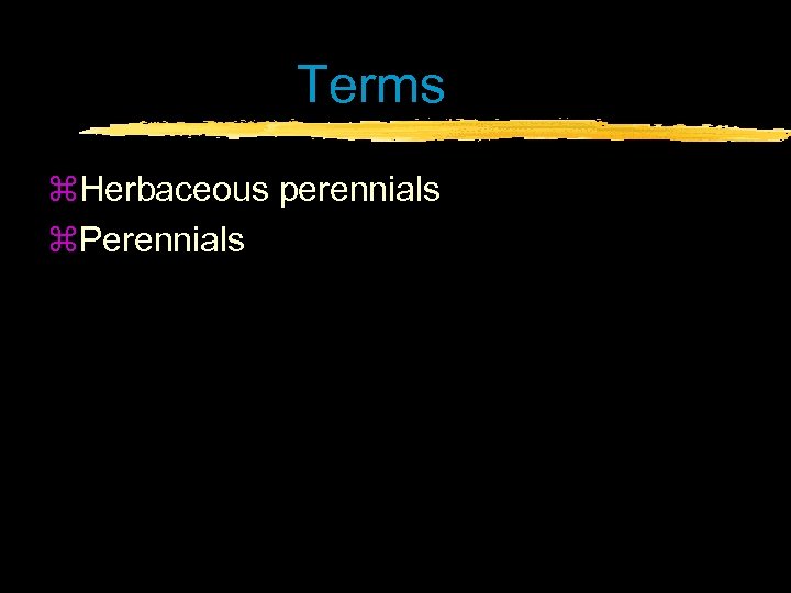Terms z. Herbaceous perennials z. Perennials 