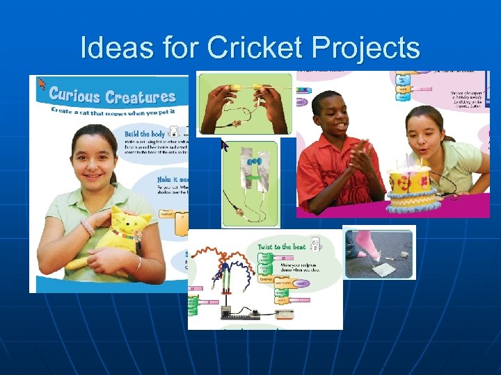 Ideas for Cricket Projects 