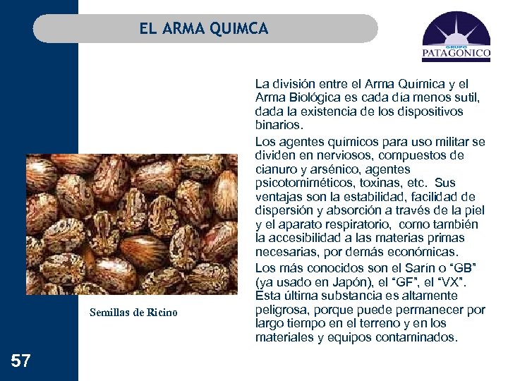 EL ARMA QUIMCA Semillas de Ricino 57 La división entre el Arma Química y