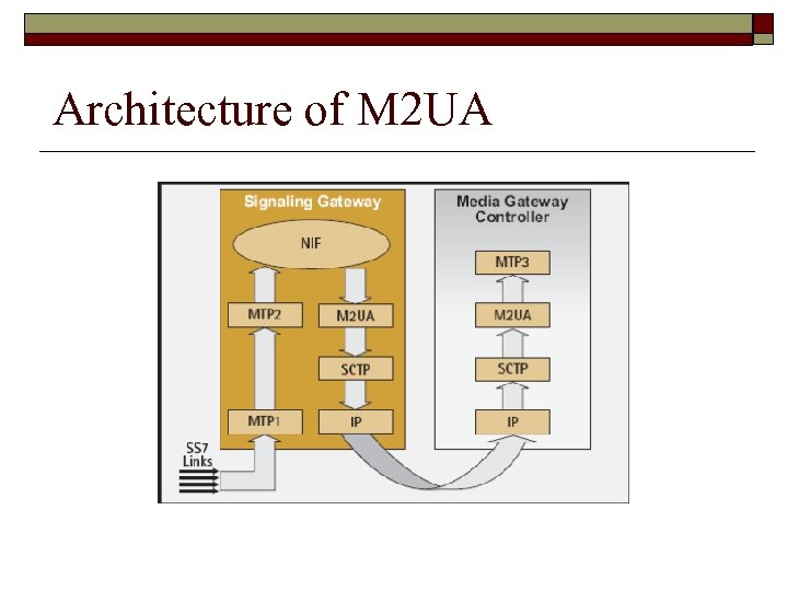 Architecture of M 2 UA 