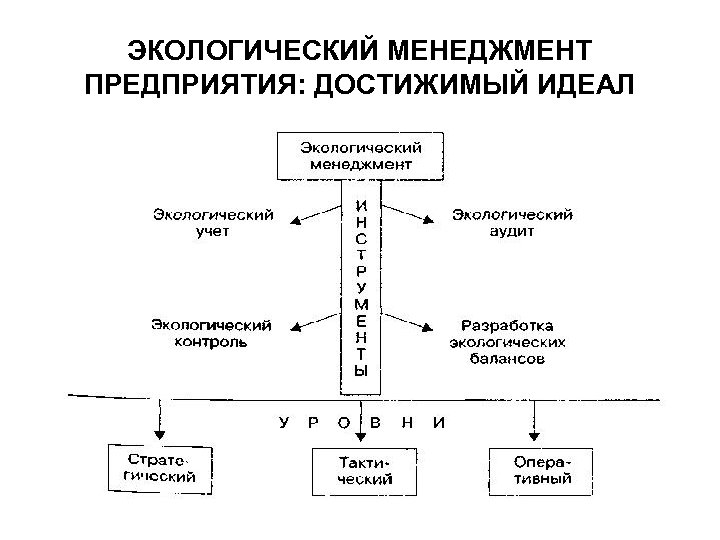 ЭКОЛОГИЧЕСКИЙ МЕНЕДЖМЕНТ ПРЕДПРИЯТИЯ: ДОСТИЖИМЫЙ ИДЕАЛ 