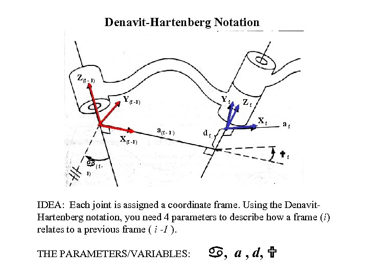 Denavit-Hartenberg Notation Z(i - 1) Y(i -1) X(i -1) Yi a(i - 1 )