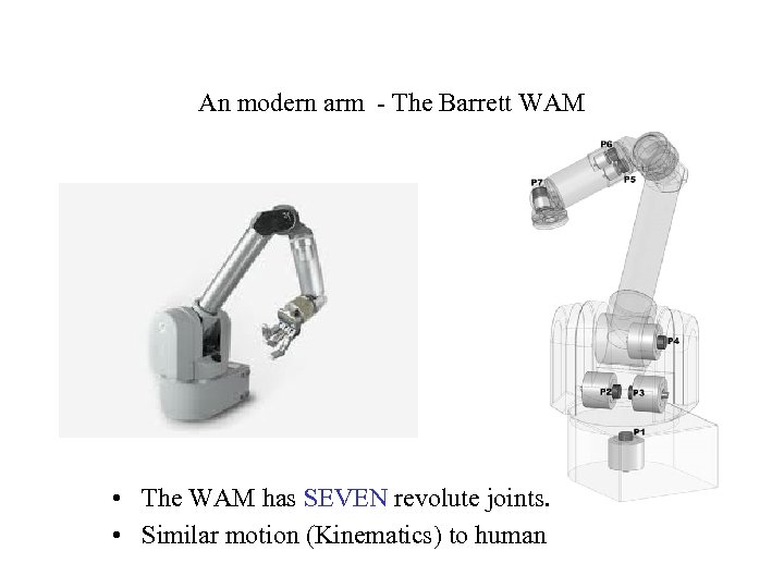An modern arm - The Barrett WAM • The WAM has SEVEN revolute joints.