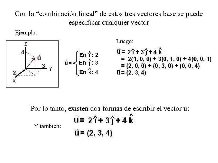 I Magnitudes Vectoriales Los Vectores Son Entidades Matemáticas