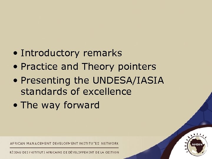  • Introductory remarks • Practice and Theory pointers • Presenting the UNDESA/IASIA standards