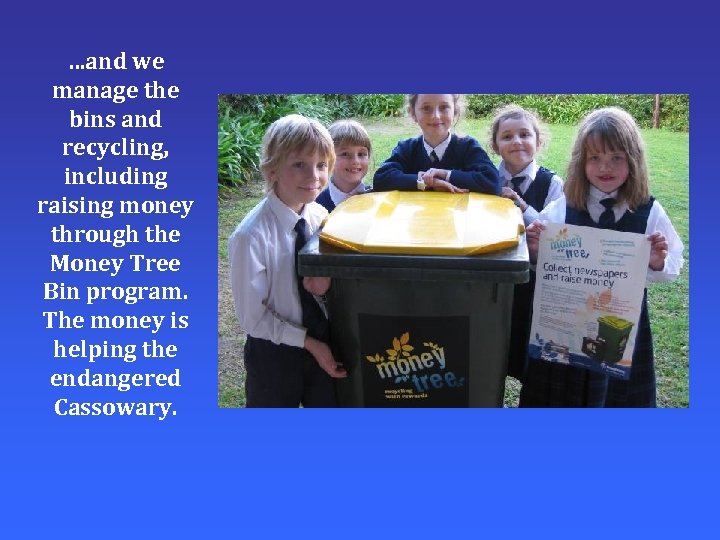 …and we manage the bins and recycling, including raising money through the Money Tree