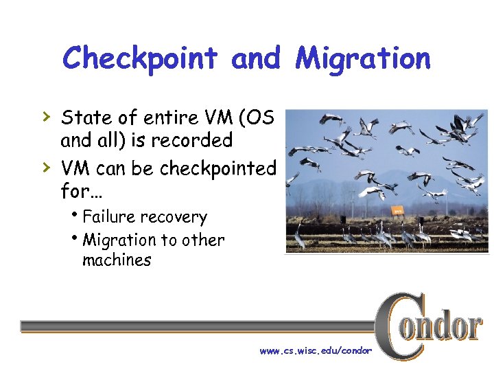 Checkpoint and Migration › State of entire VM (OS › and all) is recorded