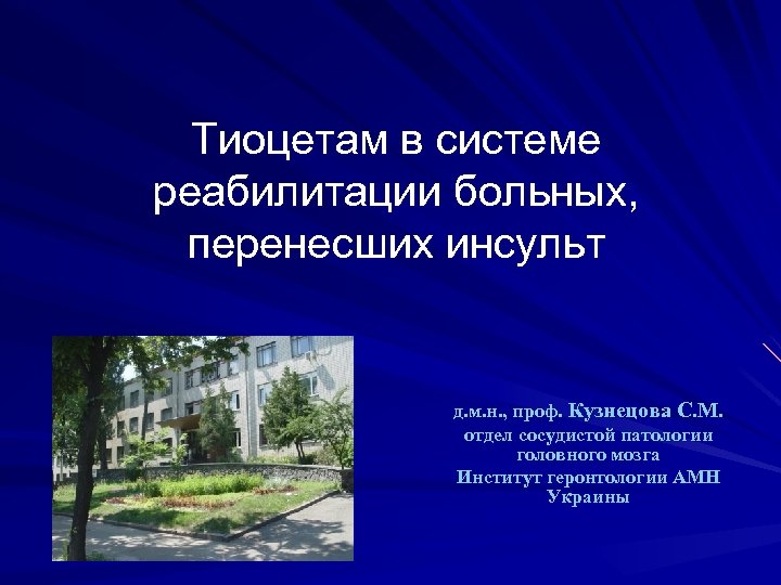 Тиоцетам в системе реабилитации больных, перенесших инсульт д. м. н. , проф. Кузнецова С.