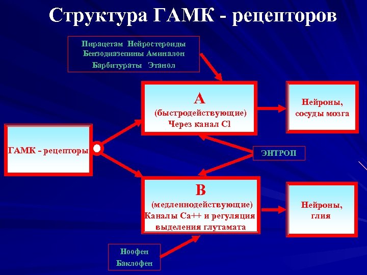 Структура ГАМК - рецепторов Пирацетам Нейростероиды Бензодиазепины Аминалон Барбитураты Этанол А (быстродействующие) Через канал