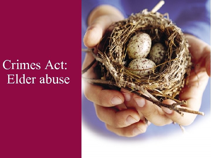 Crimes Act: Elder abuse 