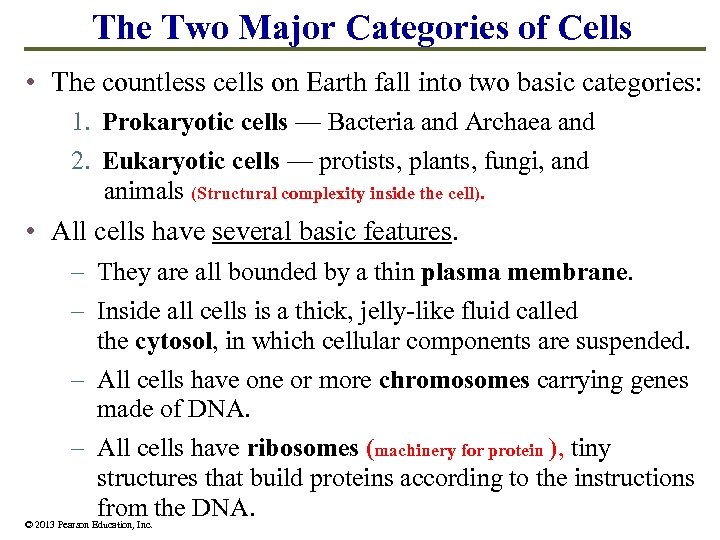 The Two Major Categories of Cells • The countless cells on Earth fall into