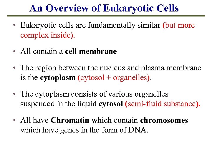 An Overview of Eukaryotic Cells • Eukaryotic cells are fundamentally similar (but more complex