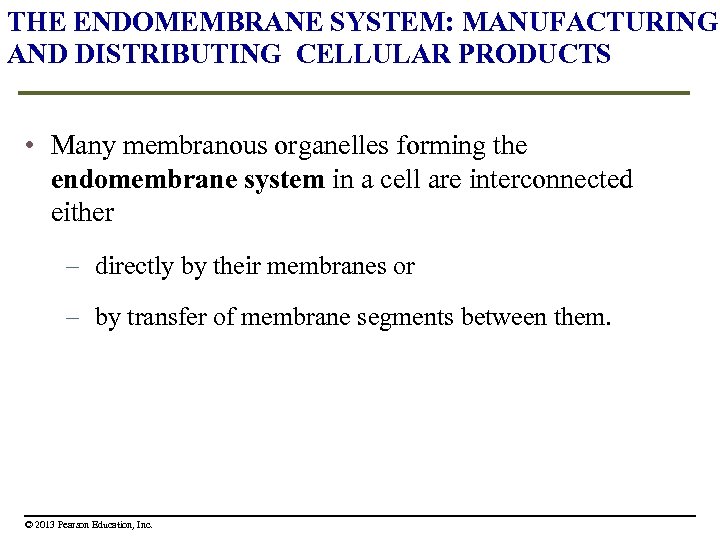 THE ENDOMEMBRANE SYSTEM: MANUFACTURING AND DISTRIBUTING CELLULAR PRODUCTS • Many membranous organelles forming the