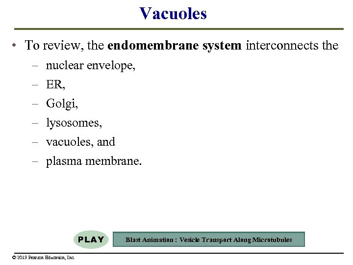Vacuoles • To review, the endomembrane system interconnects the – – – nuclear envelope,