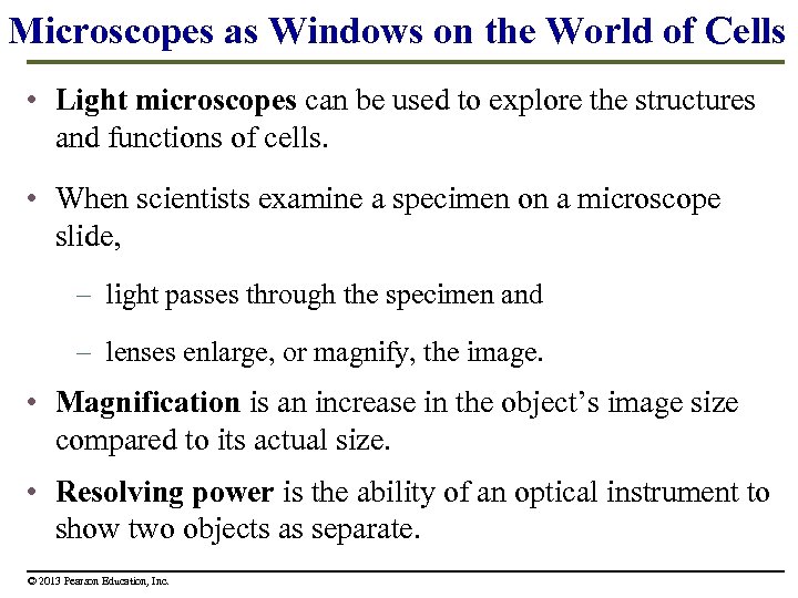 Microscopes as Windows on the World of Cells • Light microscopes can be used