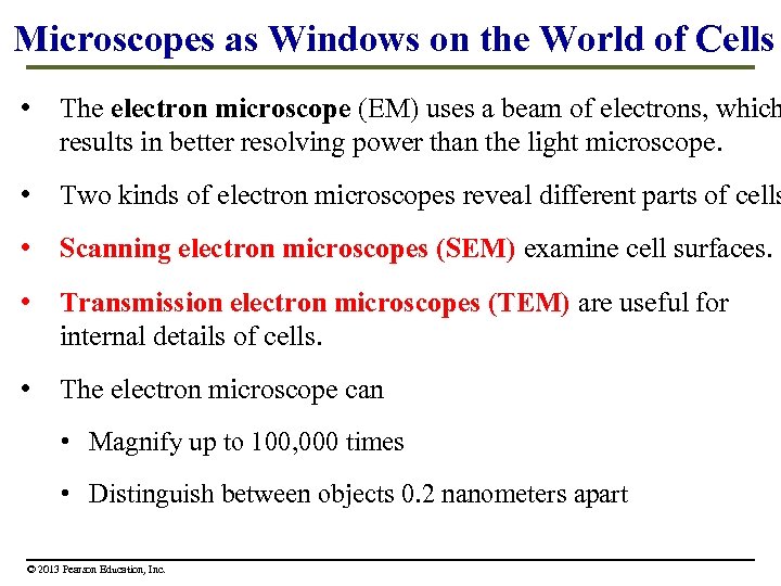 Microscopes as Windows on the World of Cells • The electron microscope (EM) uses