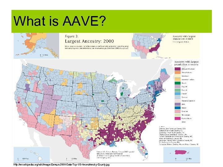 What is AAVE? http: //en. wikipedia. org/wiki/Image: Census-2000 -Data-Top-US-Ancestries-by-County. jpg 