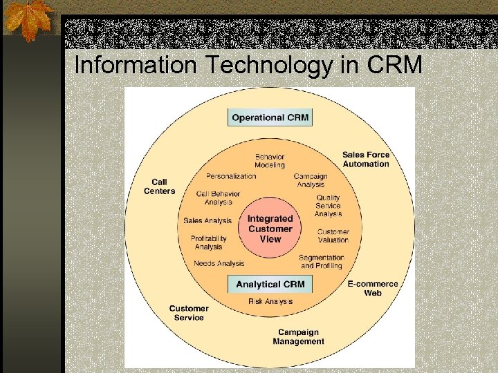 Information Technology in CRM 