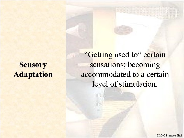 Sensory Adaptation “Getting used to” certain sensations; becoming accommodated to a certain level of