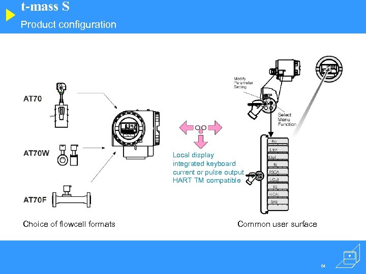 t-mass S Product configuration Local display integrated keyboard current or pulse output HART TM