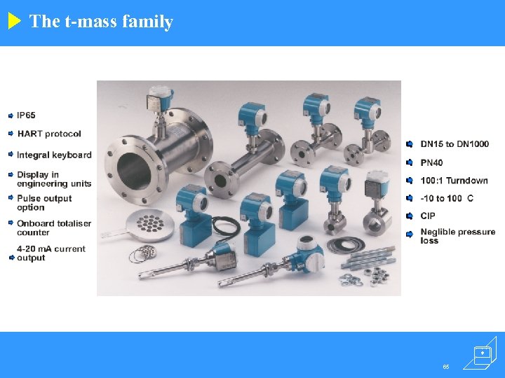 The t-mass family 65 