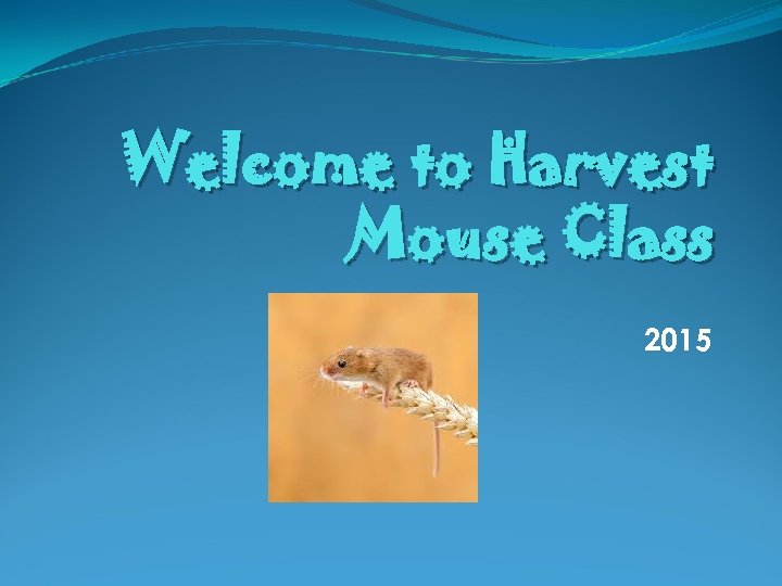 Welcome to Harvest Mouse Class 2015 