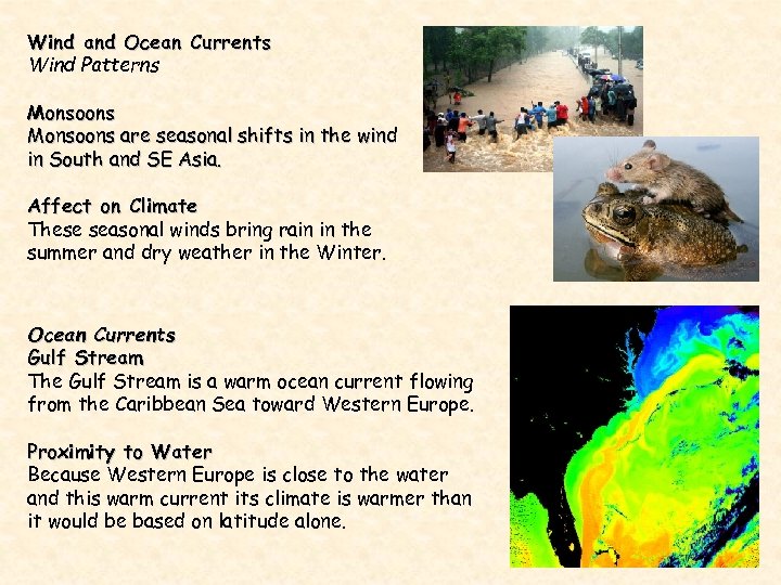 Wind and Ocean Currents Wind Patterns Monsoons are seasonal shifts in the wind in