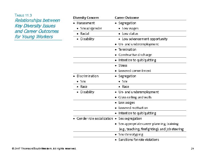 TABLE 11. 3 Relationships between Key Diversity Issues and Career Outcomes for Young Workers