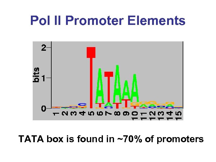 Pol II Promoter Elements TATA box is found in ~70% of promoters 