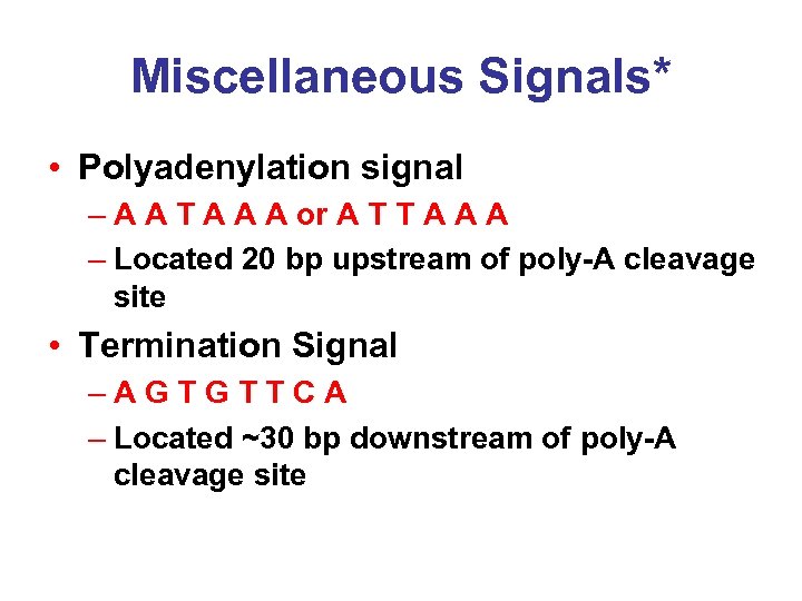Miscellaneous Signals* • Polyadenylation signal – A A T A A A or A