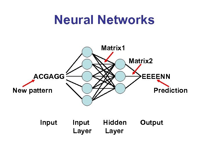 Neural Networks Matrix 1 Matrix 2 ACGAGG EEEENN New pattern Input Prediction Input Layer