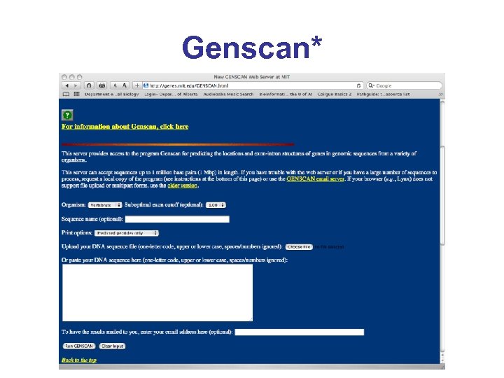 Genscan* 
