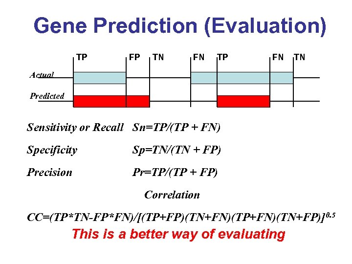 Gene Prediction (Evaluation) TP FP TN FN TP FN TN Actual Predicted Sensitivity or