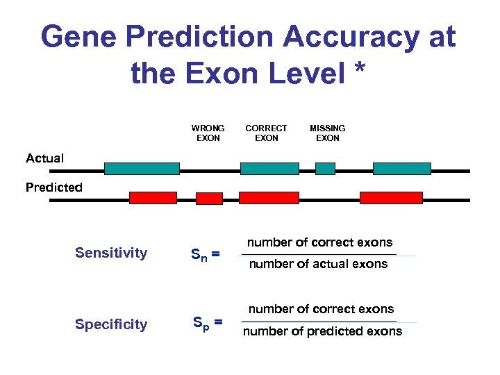 Gene Prediction Accuracy at the Exon Level * WRONG EXON CORRECT EXON MISSING EXON