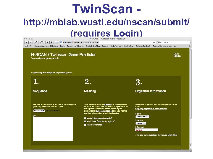 Twin. Scan http: //mblab. wustl. edu/nscan/submit/ (requires Login) 