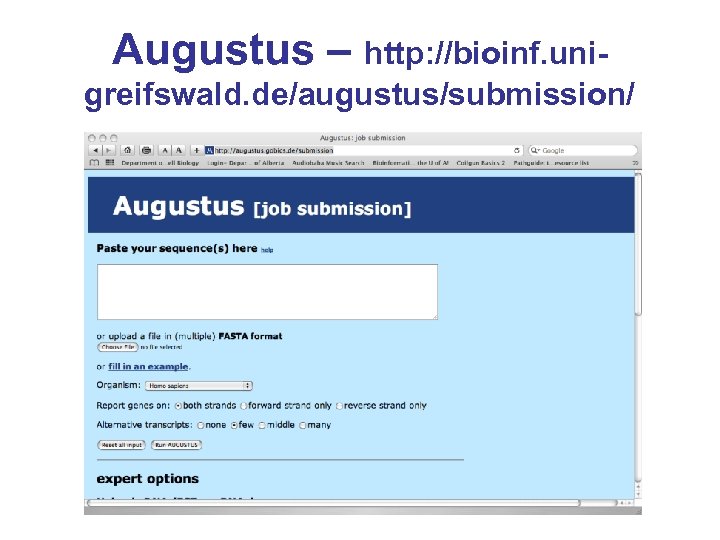 Augustus – http: //bioinf. unigreifswald. de/augustus/submission/ 