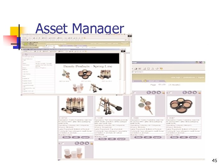 Asset Manager 45 