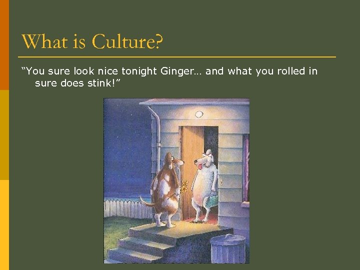 What is Culture? “You sure look nice tonight Ginger… and what you rolled in
